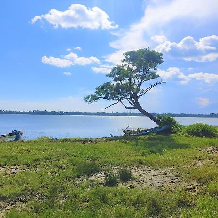 Lake Scape Yala Safari Inn ทิซซามาฮารามา ภายนอก รูปภาพ