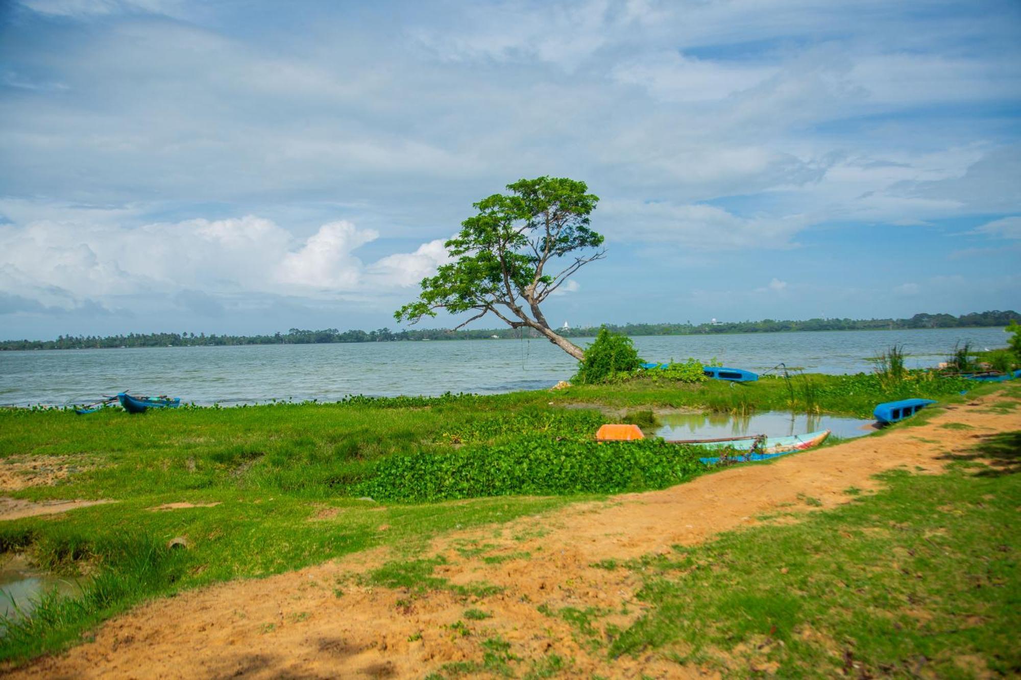 Lake Scape Yala Safari Inn ทิซซามาฮารามา ภายนอก รูปภาพ