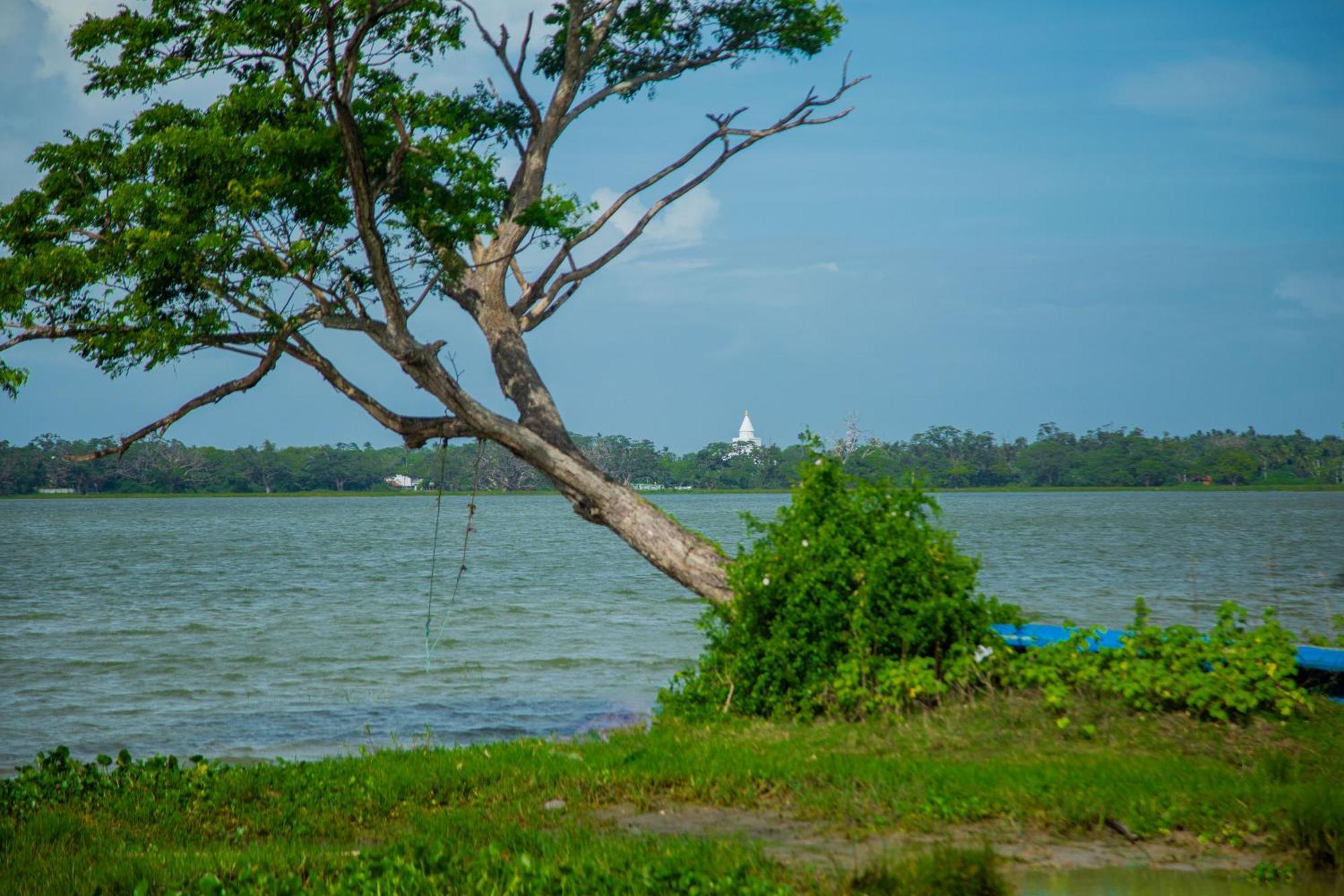 Lake Scape Yala Safari Inn ทิซซามาฮารามา ภายนอก รูปภาพ