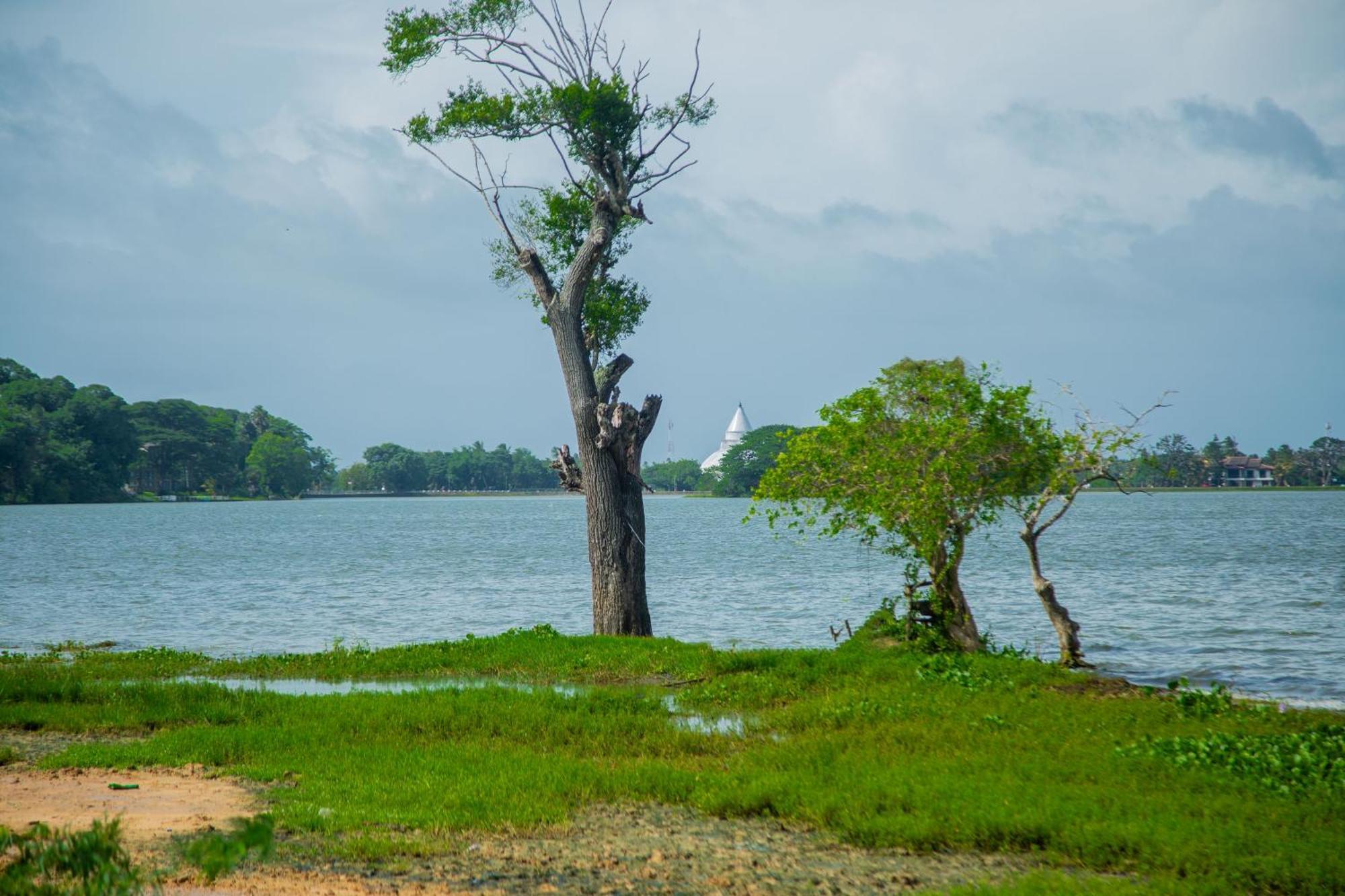 Lake Scape Yala Safari Inn ทิซซามาฮารามา ภายนอก รูปภาพ